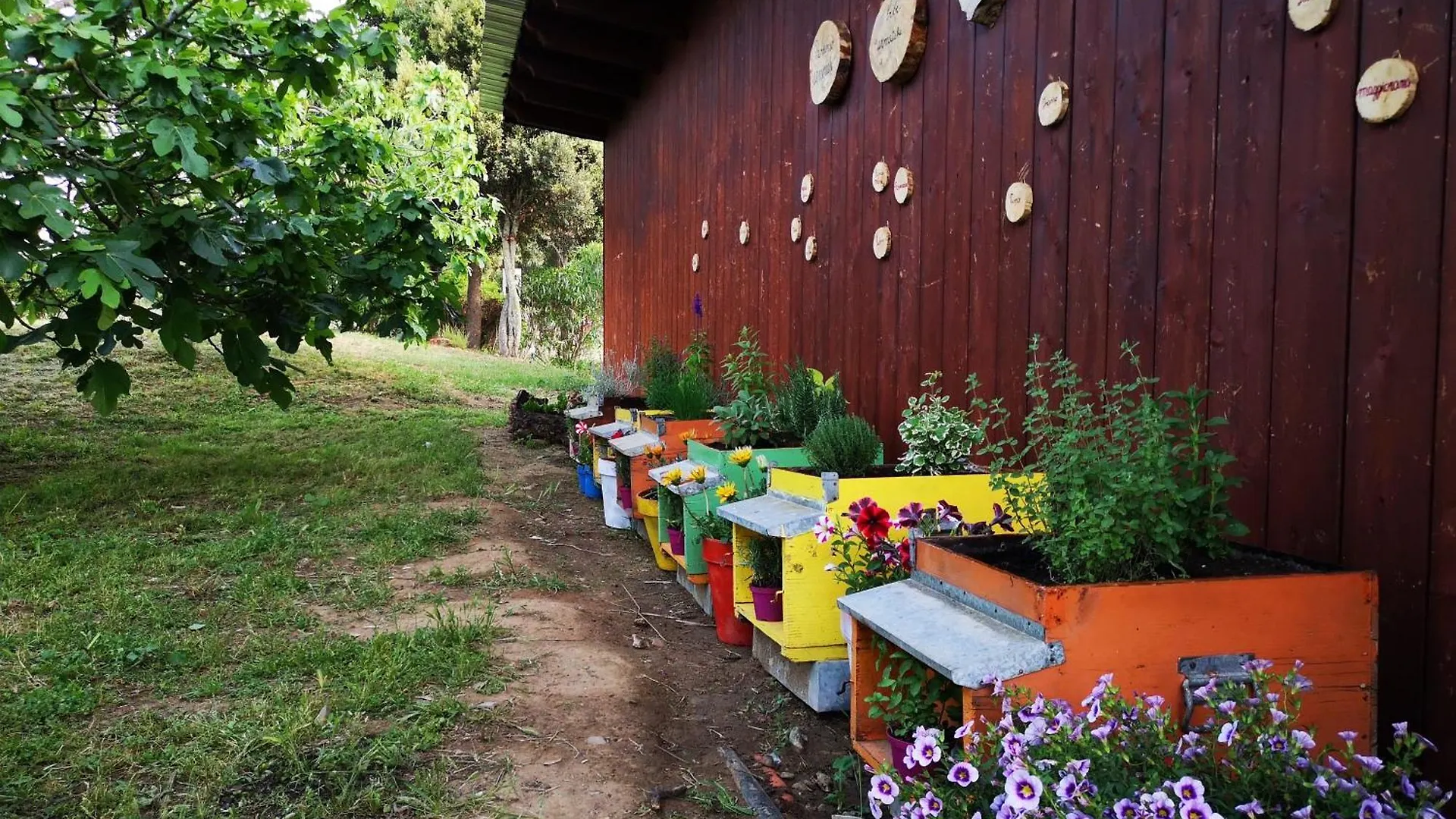 Farm stay Su Leunaxiu Soleminis