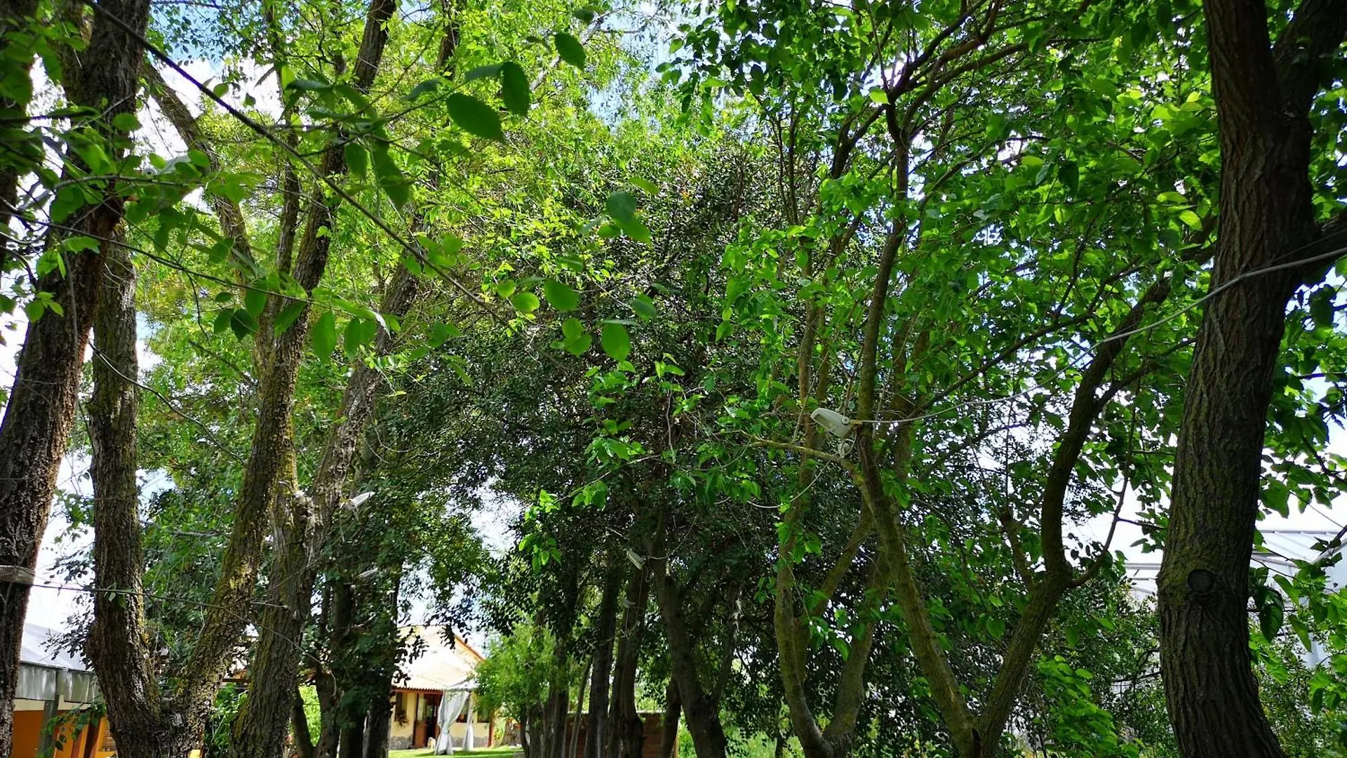 Farm stay Su Leunaxiu Soleminis