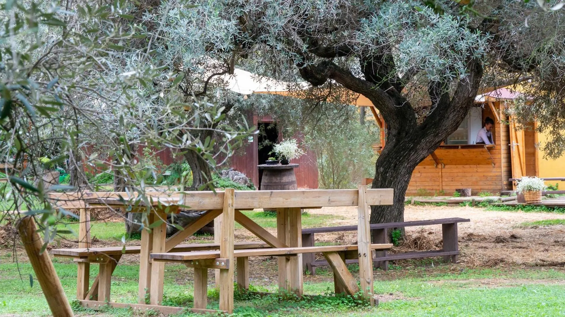 Farm stay Su Leunaxiu Soleminis
